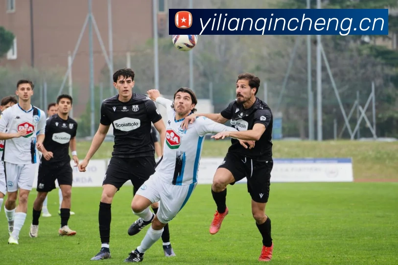 多媒体互动体验