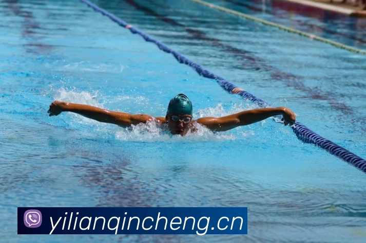 半岛官网网页版APP 高清赛事图